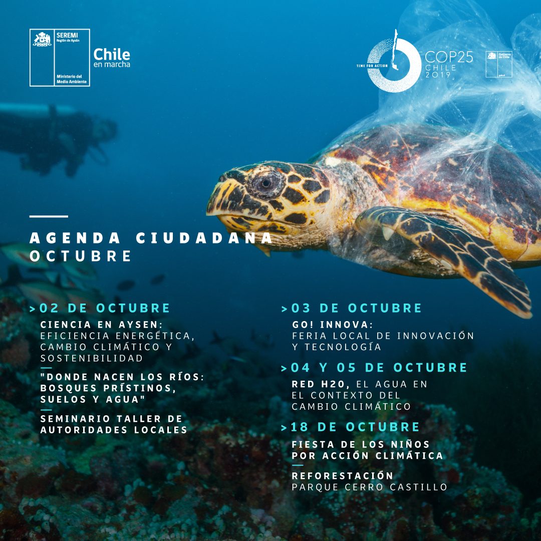 Gráfica_AgendaCuidadanaGenerico-Oct