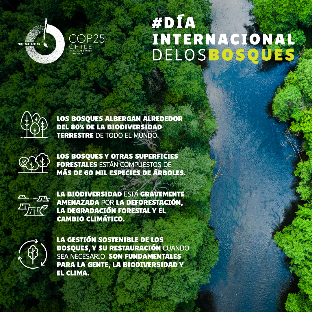 Gráfica_DíaInternacionalDeLosBosques_