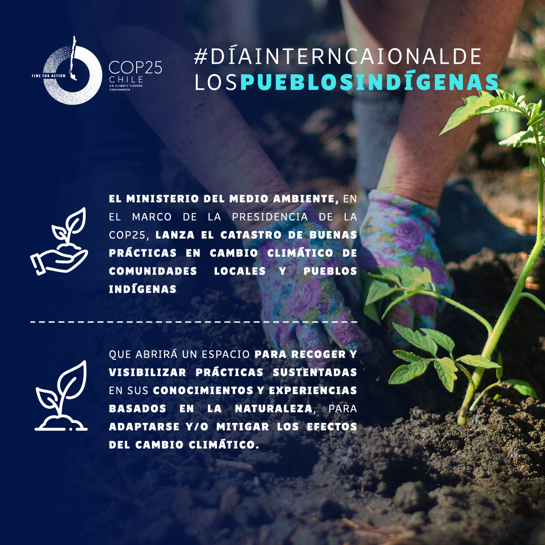 Gráfica_DíaInternacionalDeLosPueblosIndígenas_2