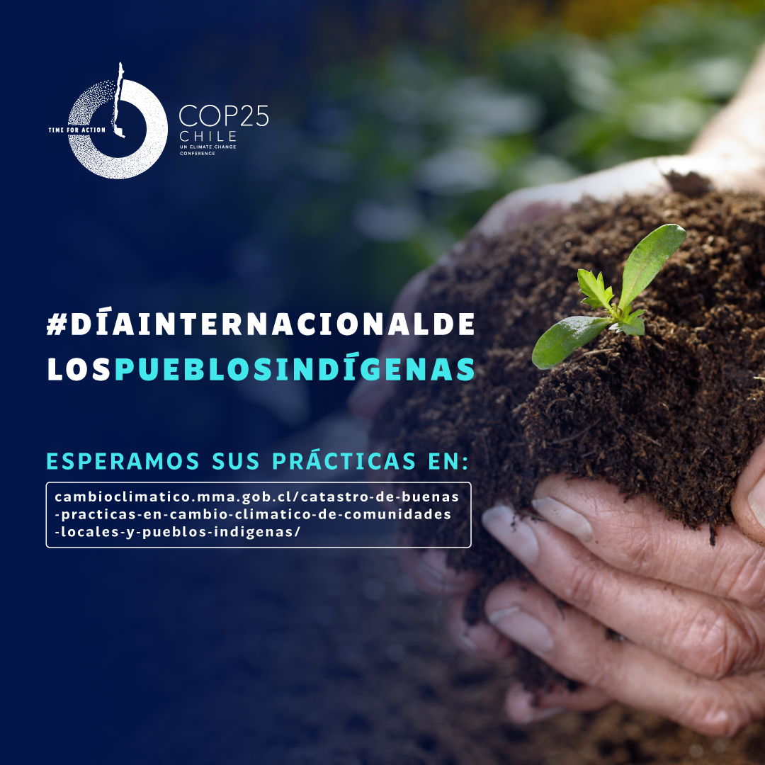 Gráfica_DíaInternacionalDeLosPueblosIndígenas_3