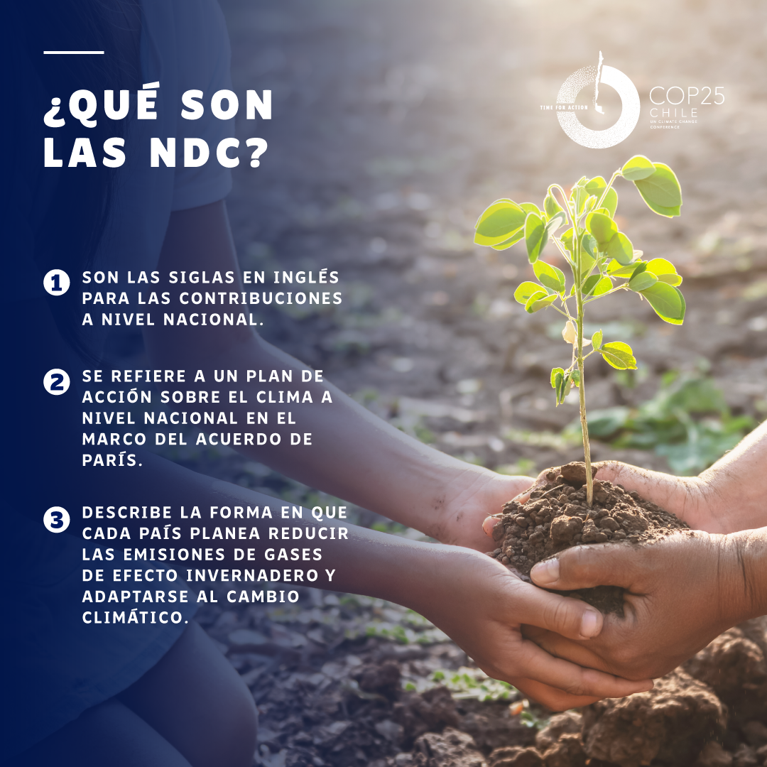 Gráfica_NDC_1