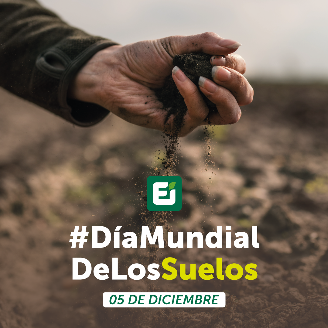Gráficas_#DíaDeLosSuelos_FB-IGEi