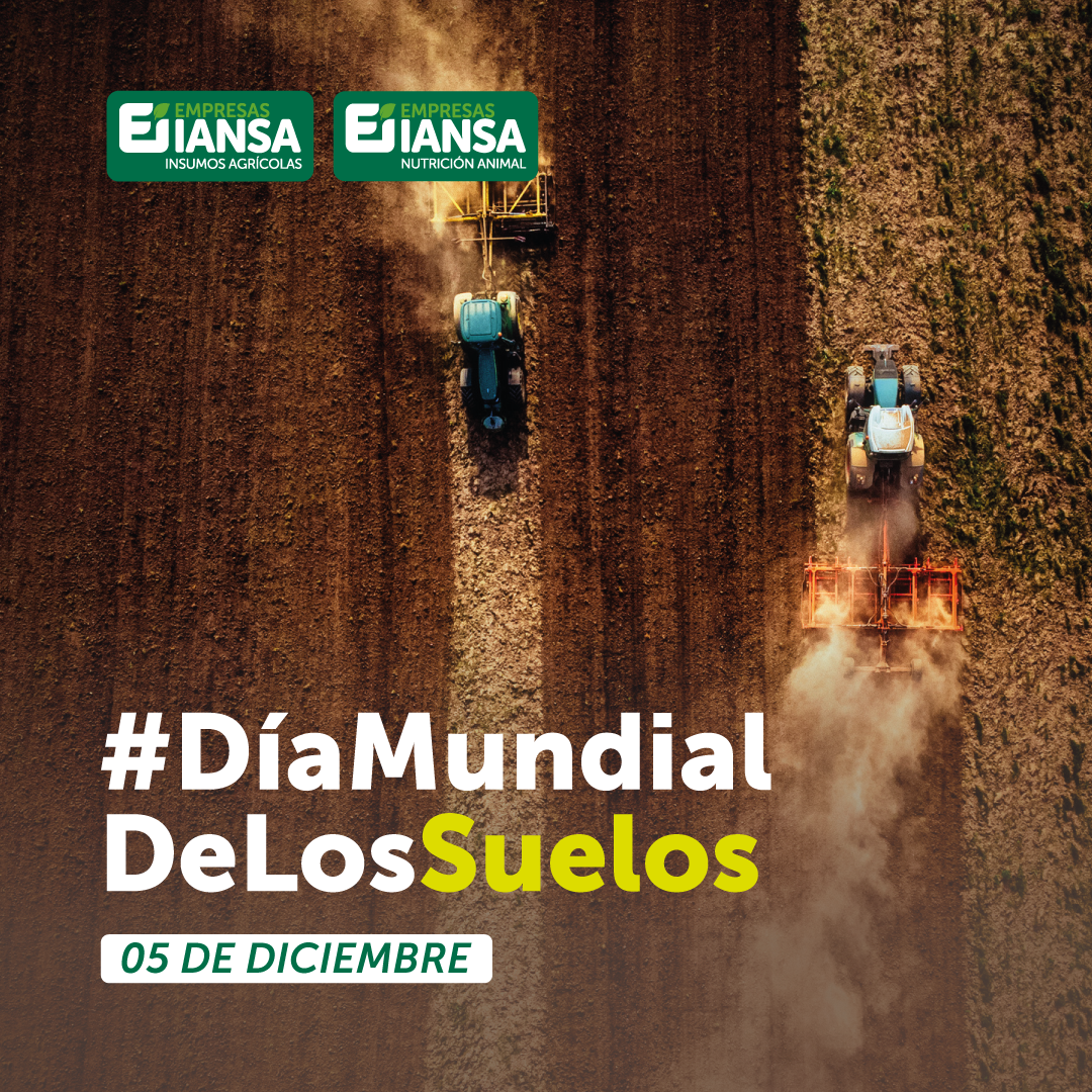 Gráficas_#DíaDeLosSuelos_FB-IGICC