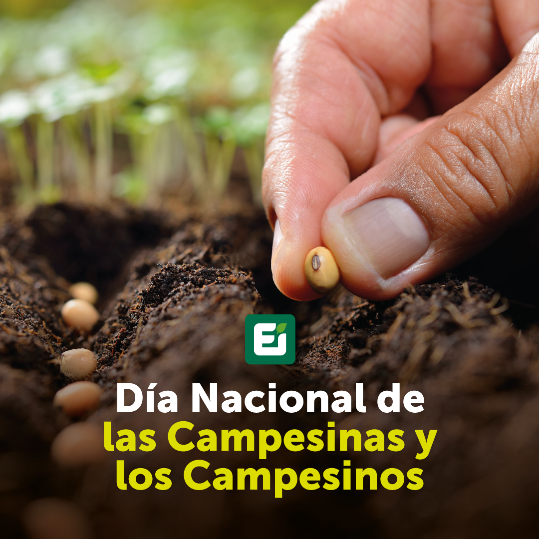 Gráficas_#DíaDelCampesino2021_Ei_FB-IG
