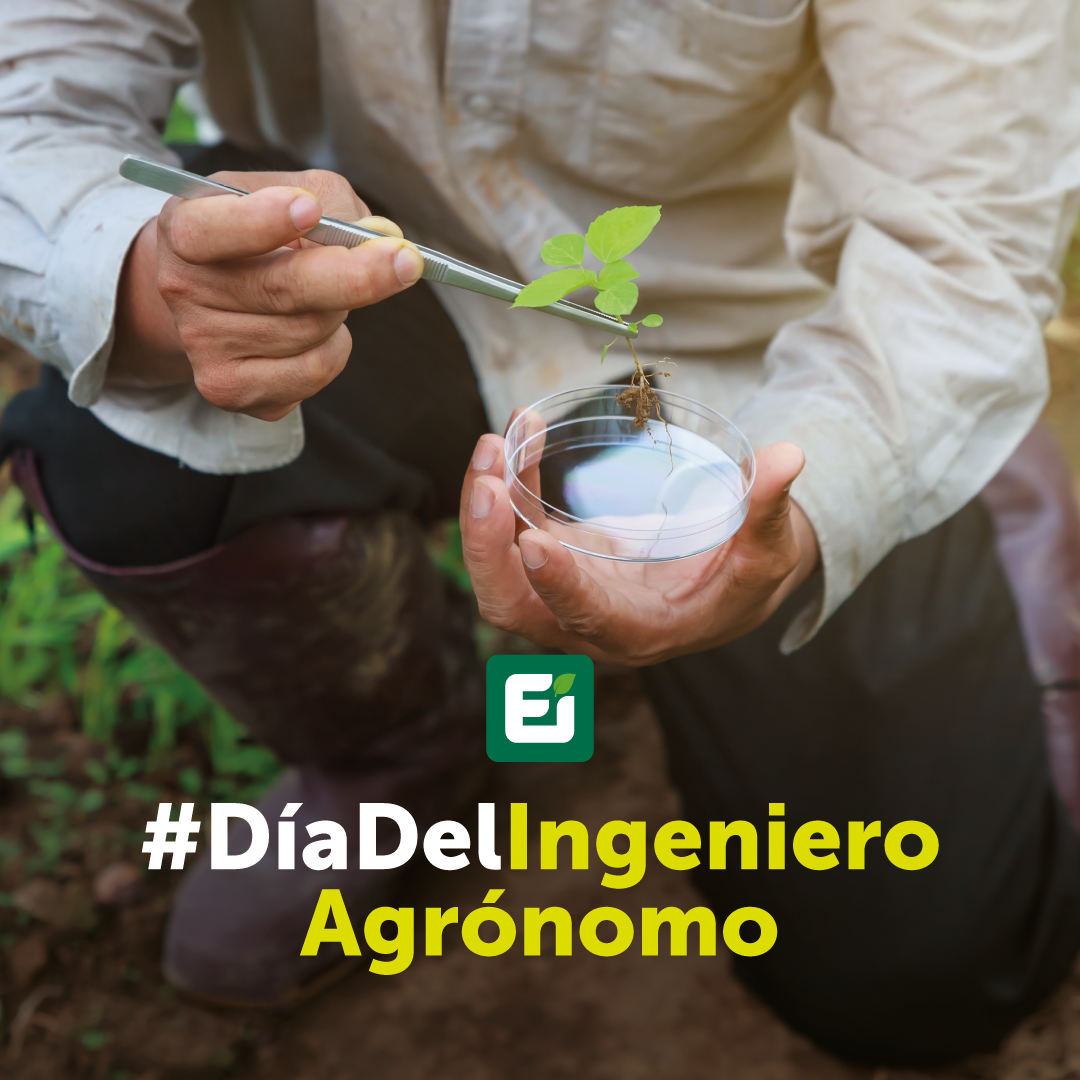 Gráficas_#DíaDelIngAgrónomo2021-Ei_FB-IG