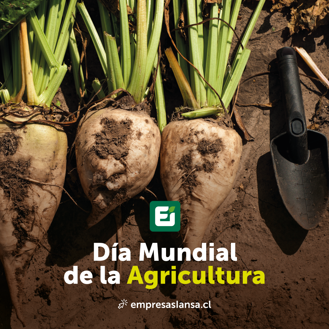 Gráficas_#DíaMundialDeLaAgricultura2021_Ei_FB-IG