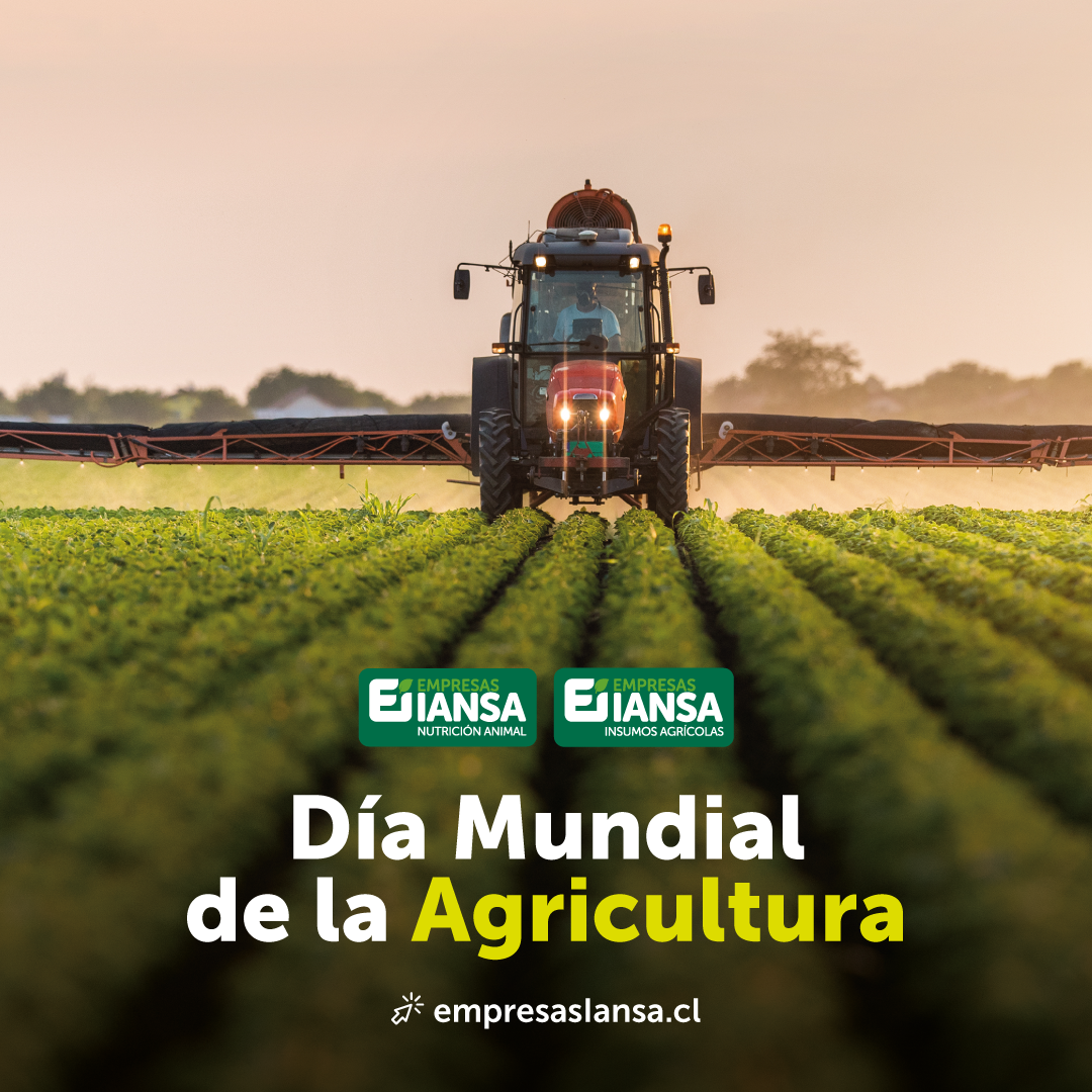 Gráficas_#DíaMundialDeLaAgricultura2021_ICC_FB-IG