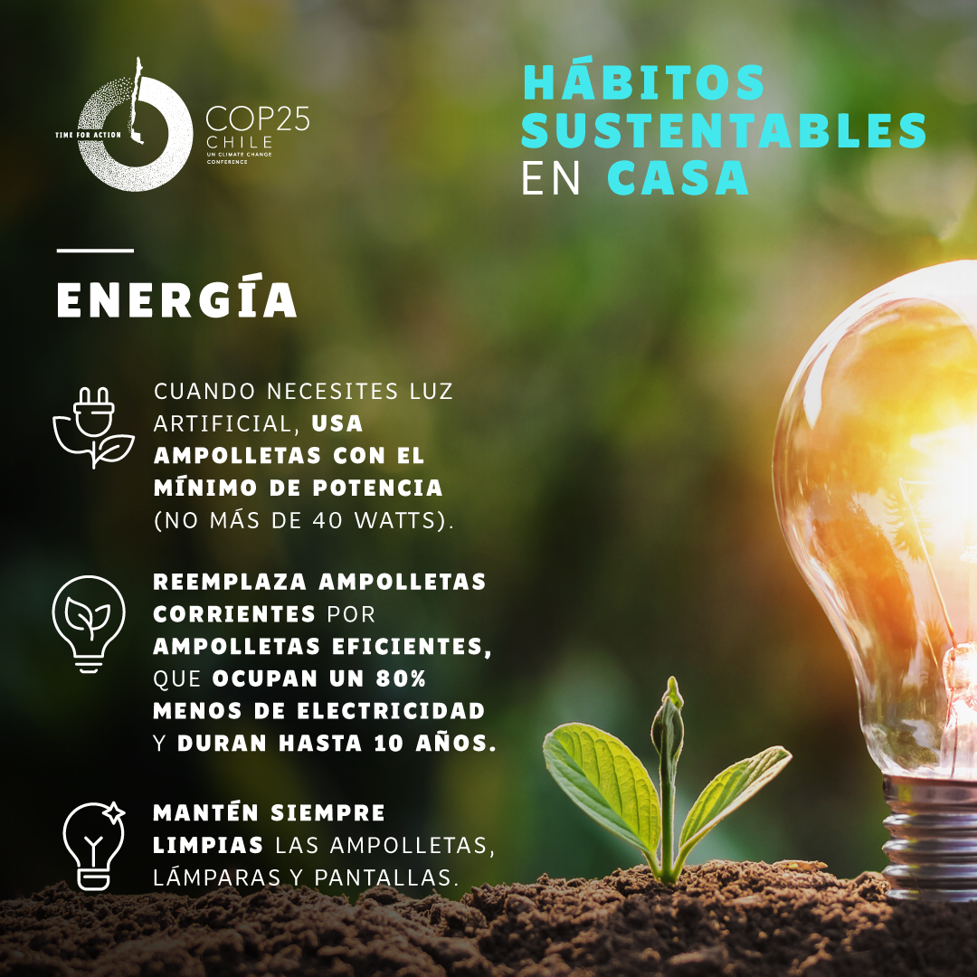 Gráficas_HabitosSutentables_COP25_4-2