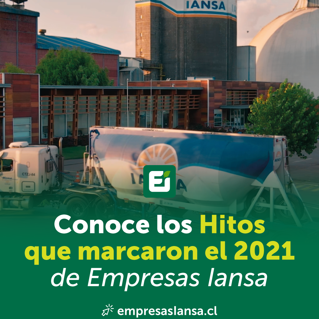Gráficas_Hitos2021-Ei_FB-IG1