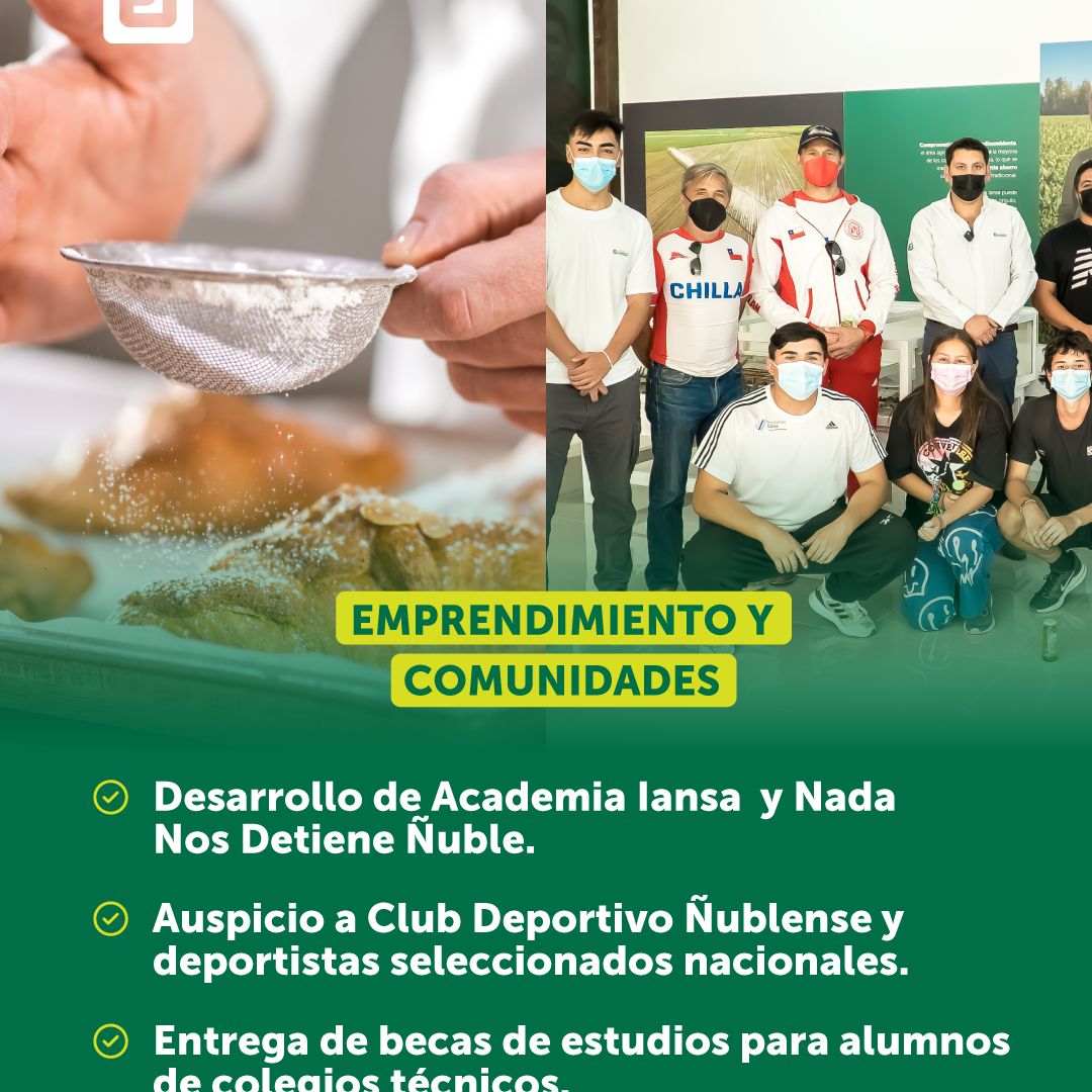 Gráficas_Hitos2021-Ei_FB-IG4