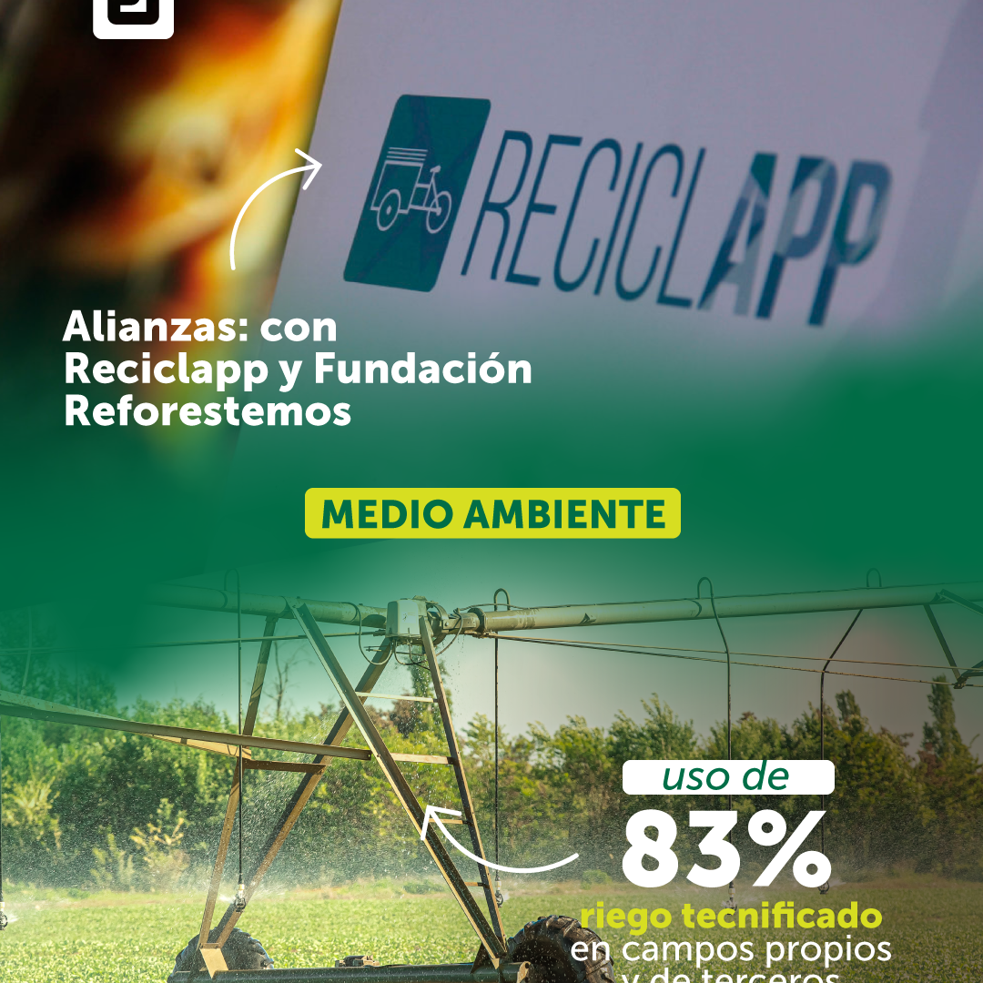 Gráficas_Hitos2021-Ei_FB-IG5