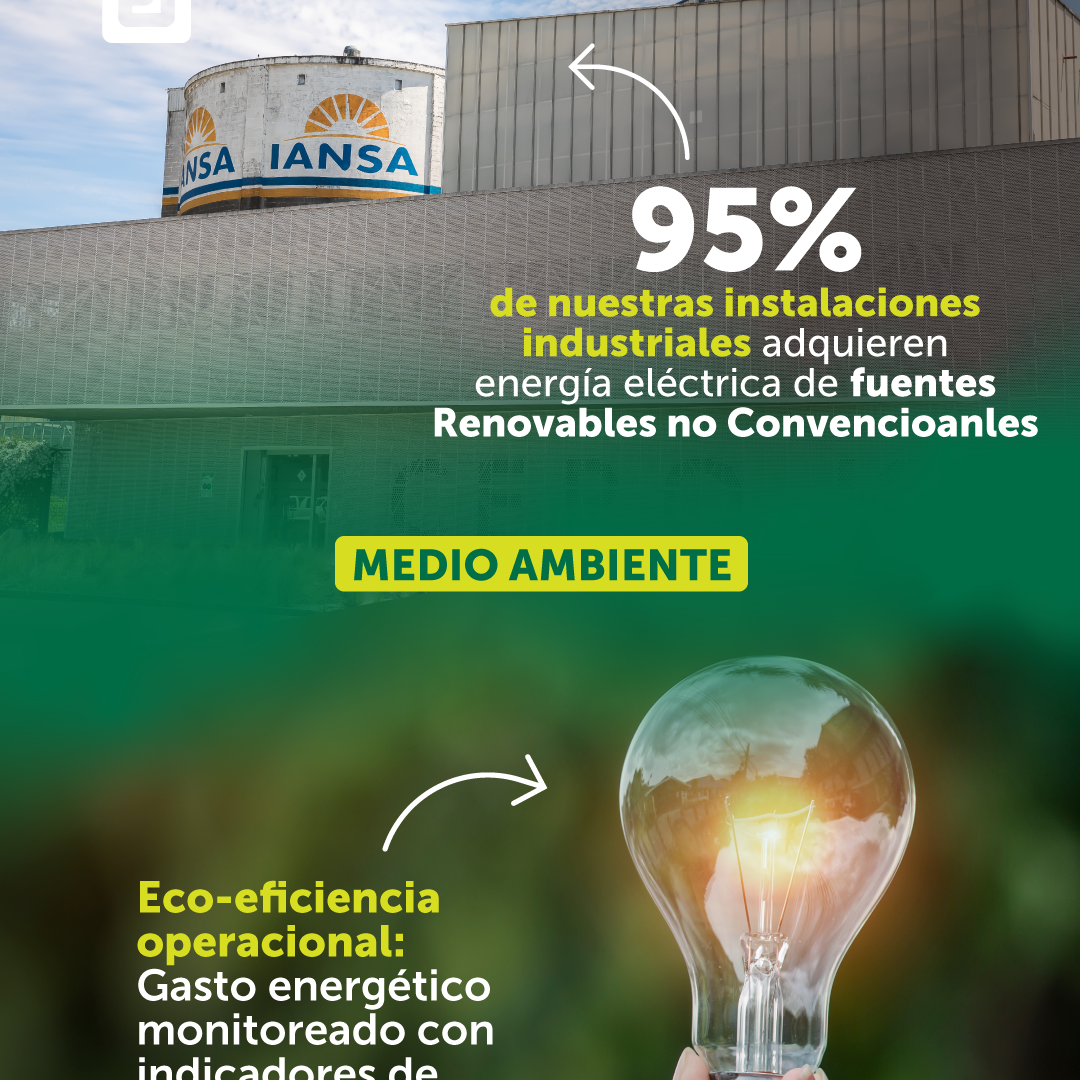 Gráficas_Hitos2021-Ei_FB-IG6