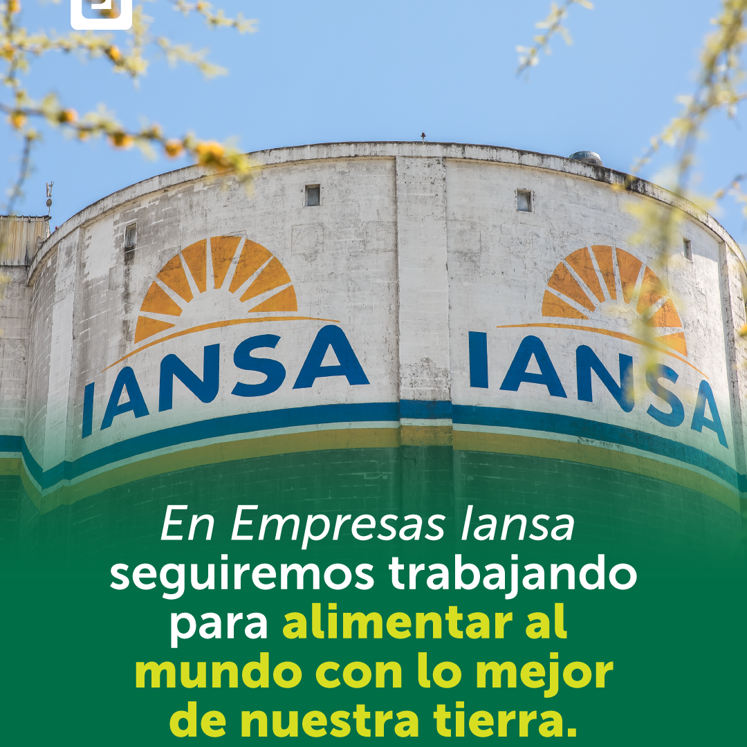 Gráficas_Hitos2021-Ei_FB-IG9