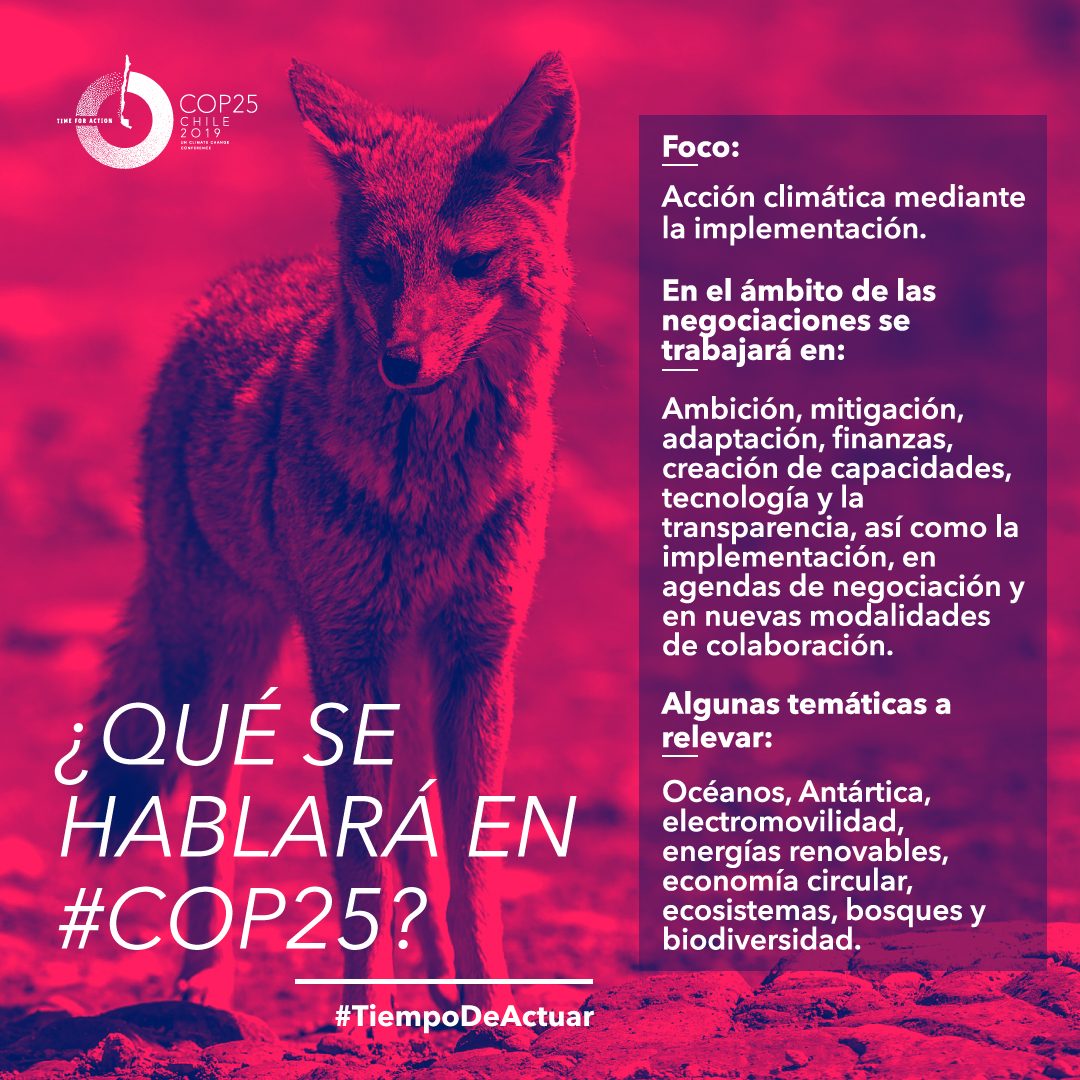 graficas_COP25QueSeHablaraEnCOP